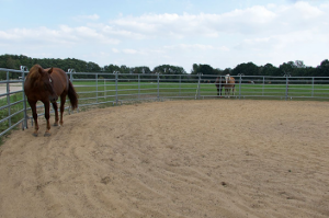 Roundpen